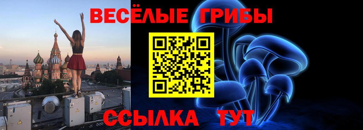 Галлюциногенные грибы ЛСД  Вход с VPN  Заволжье 